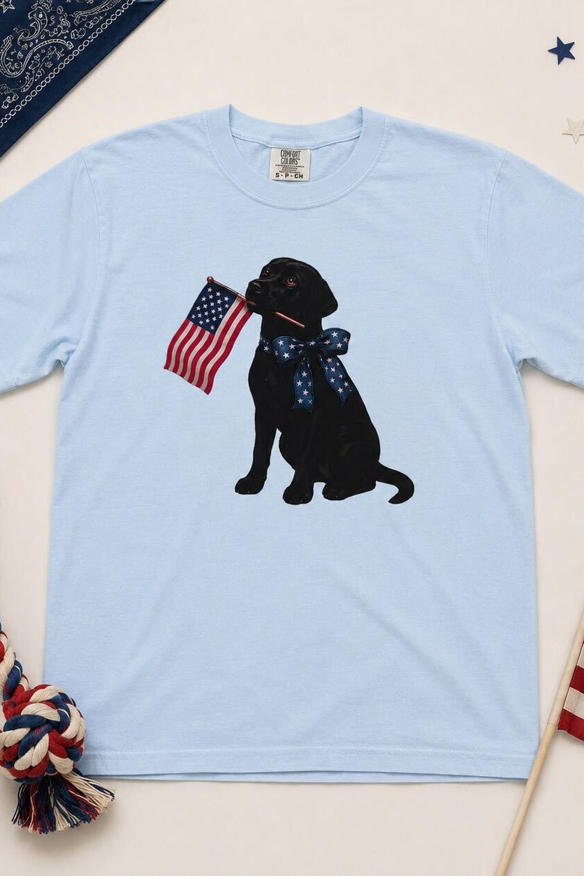HuntX Patriotic Lab Flag Comfort Color Short Sleeve Tee